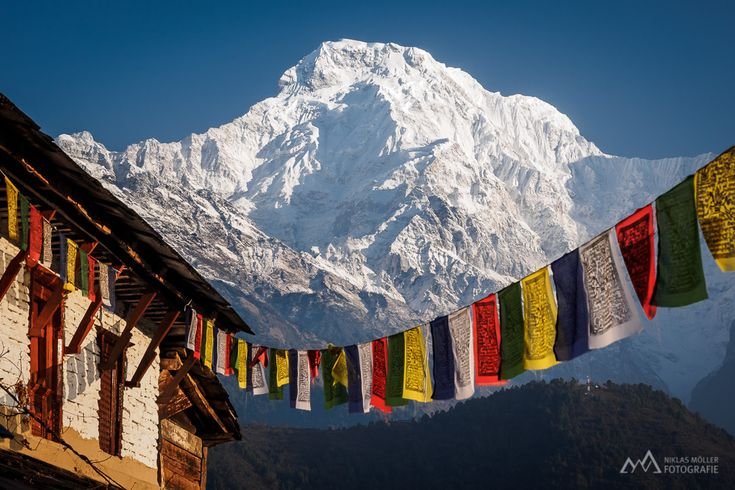 Monastery Dawn: Tawang Buddhist Retreat